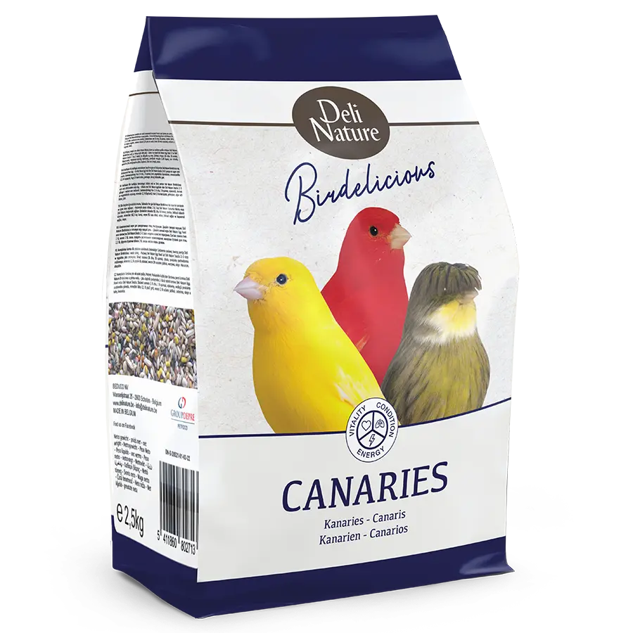 Birdelicious Kanarie