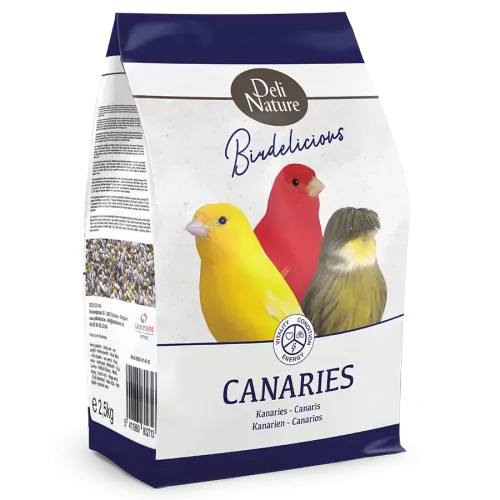 Birdelicious Kanarie