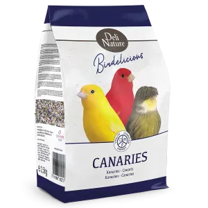 Birdelicious Kanarie