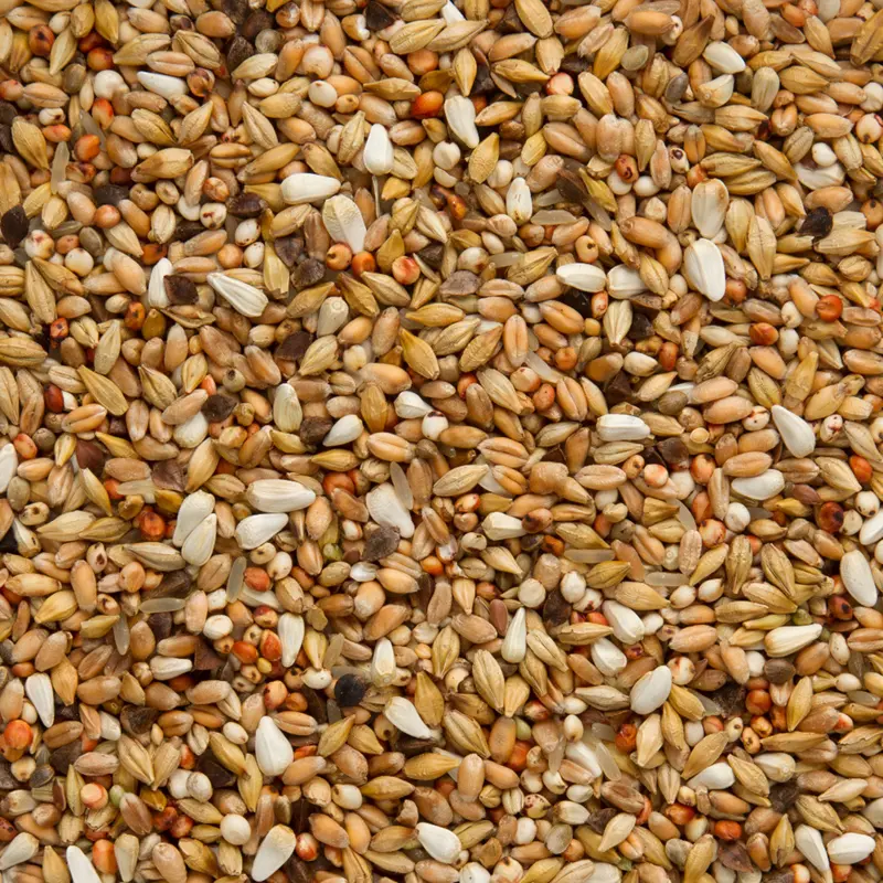 Beyers Elite Enzymix 7/33 Super Depurativ