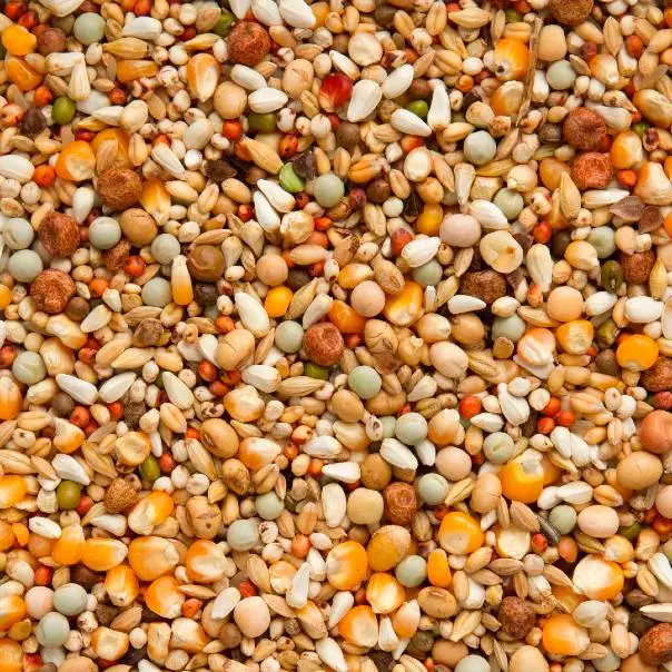 Beyers Elite Enzymix 7/43 20kg