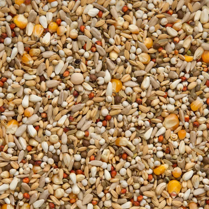 Beyers Elite Enzymix ENERGY 7/47