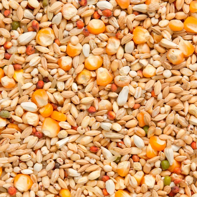 Beyers Elite Enzymix 7/48