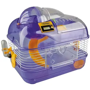 Motionsbur till hamster Maraton