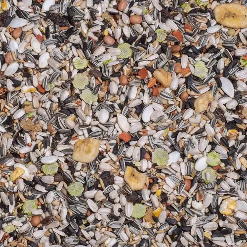 24 - Papegojblandning Caatinga