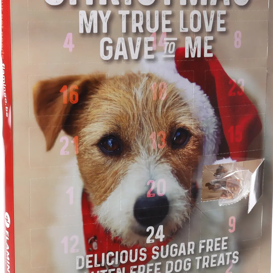 Adventskalender till Hund