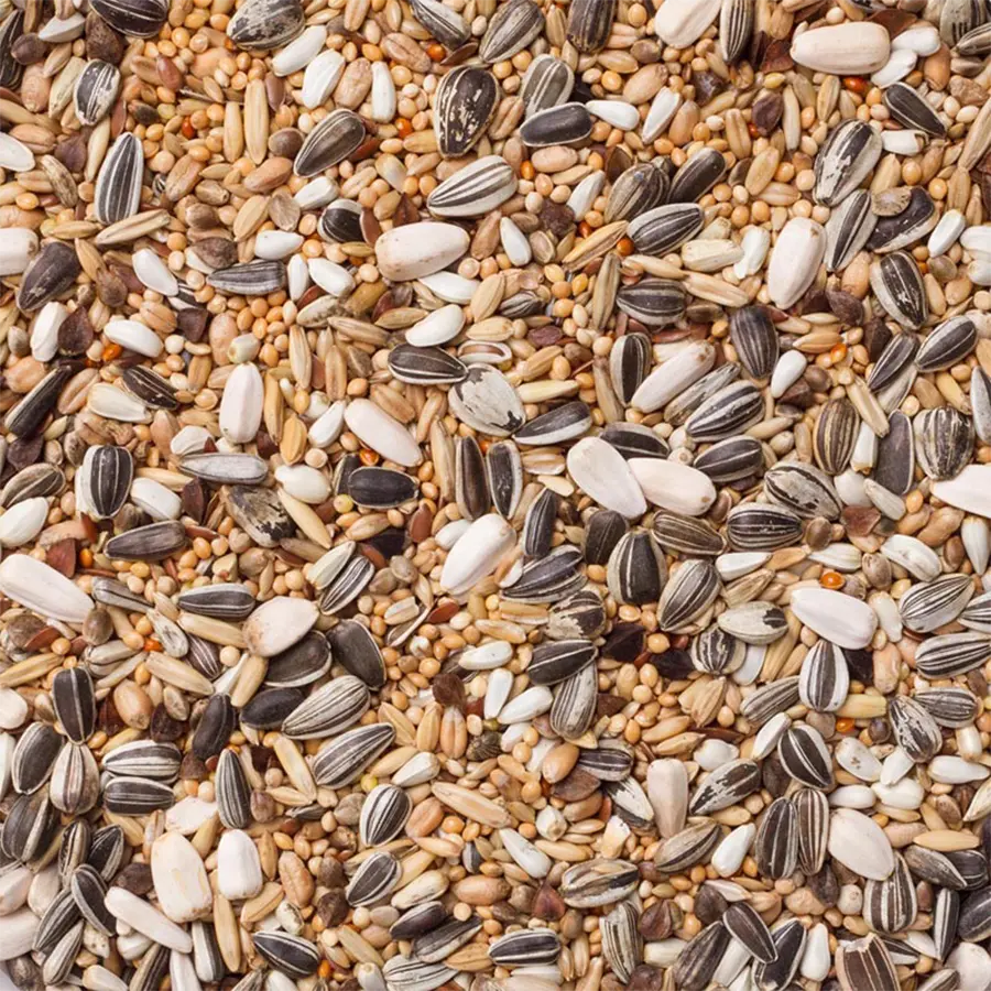 30 - Parakitblandning Standard