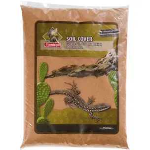 Terrariesand Sahara Brun