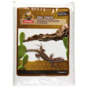 Terrariesand Glacier Vit