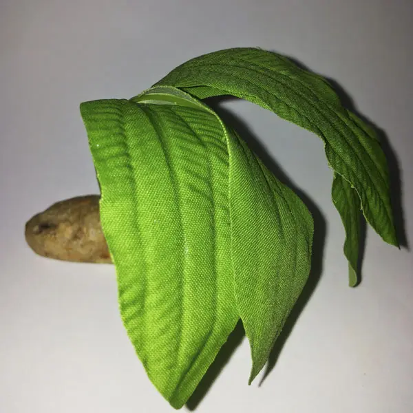 Silkesväxter