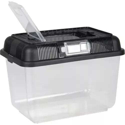 Transport Box