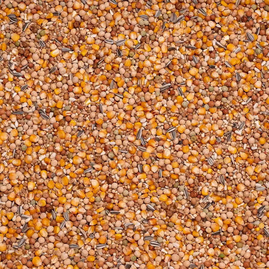 Beyers basic 4-seasons 25kg