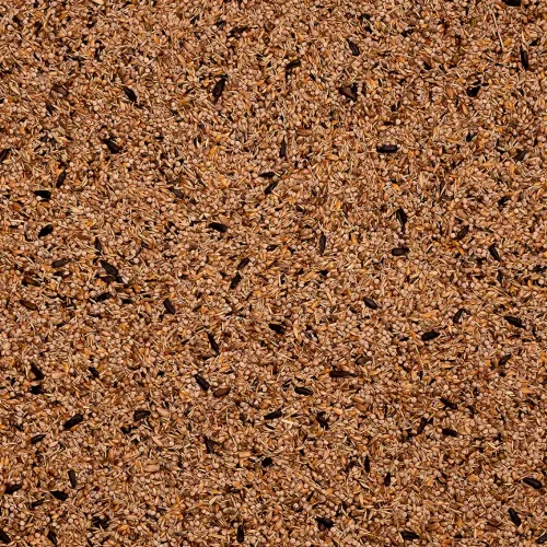 47 - Goldfinches Light