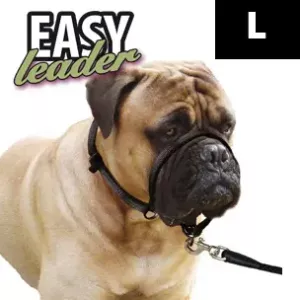 EASY LEADER