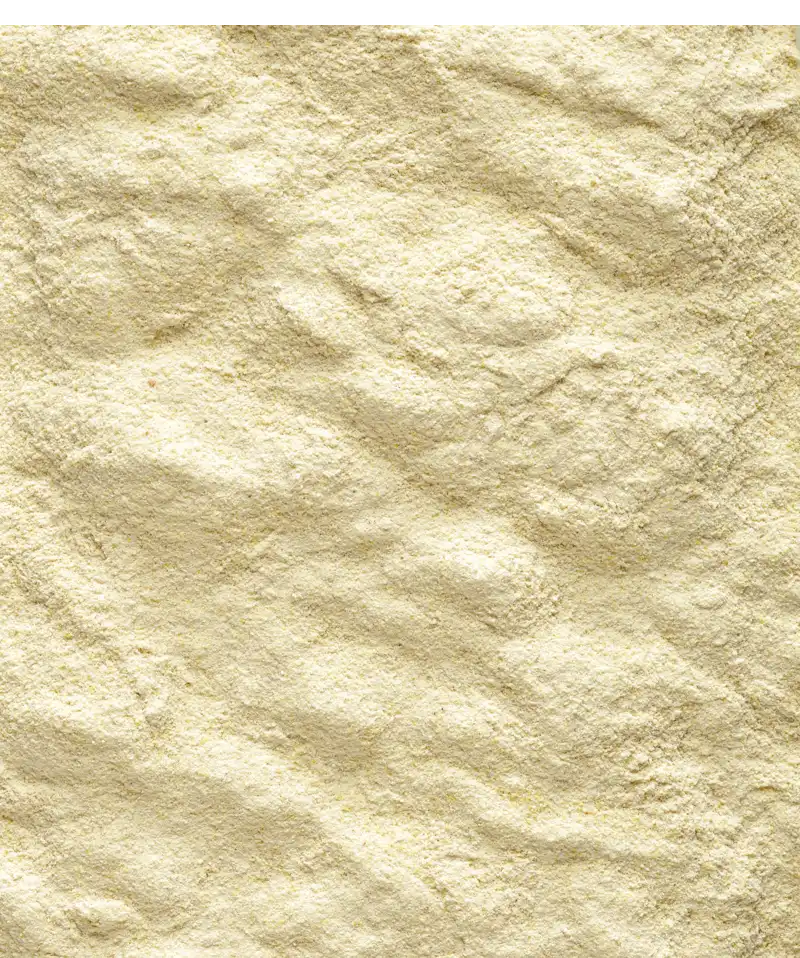 NutriBird A19 handuppmatning 250g