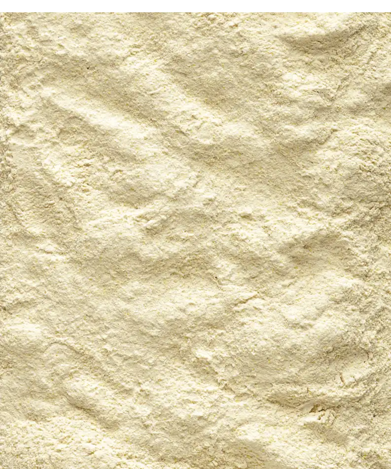 NutriBird A21 handuppmatning 250g