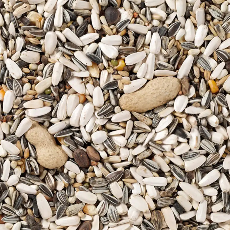 60 - Papegojblandning Standard