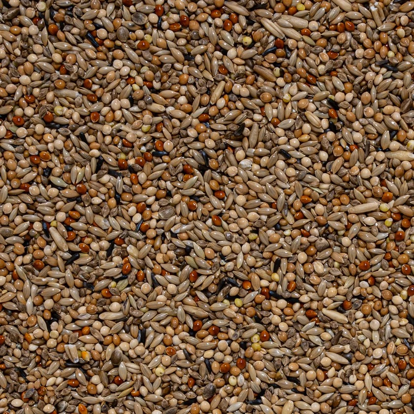 67 – Daniel Lütolf budgie superchamp 20kg