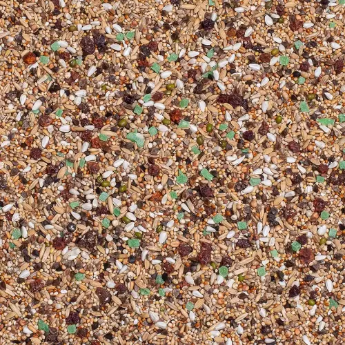 73 - Paraktitblandning Med Frukt & bär