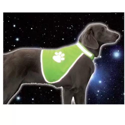 Reflexväst till hund med tass