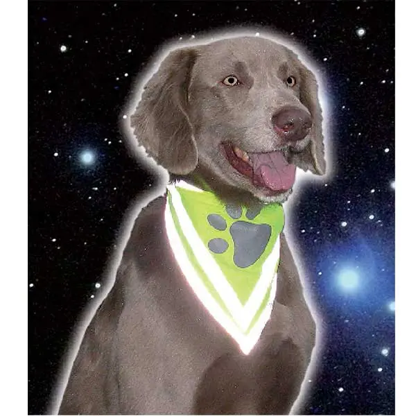 reflex scarfs skarvs till hund