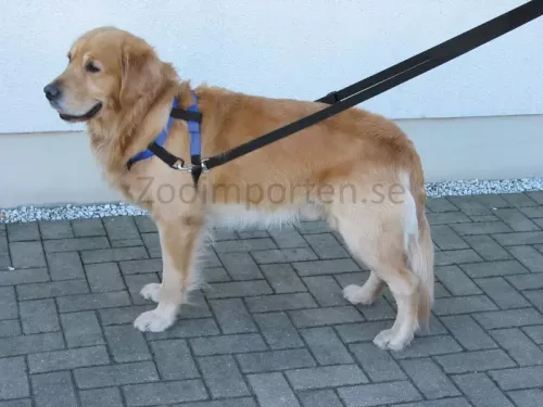Sele TOPWALK