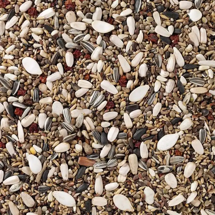 90 - Pine Grosbeaks & Crossbills