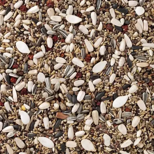 90 - Pine Grosbeaks & Crossbills