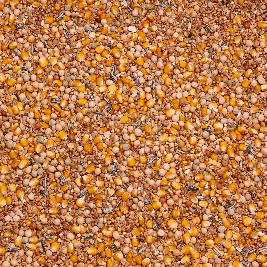 Beyers Basic allround 25kg