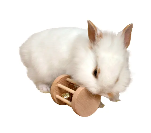 Trärulle med bjällra