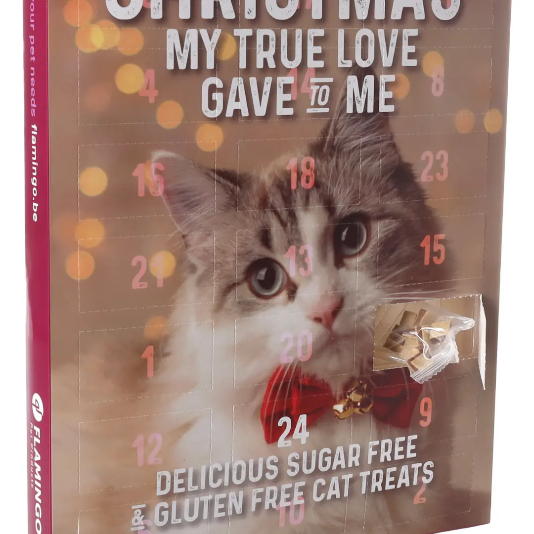 Adventskalender till Katt