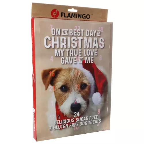 Adventskalender till Hund