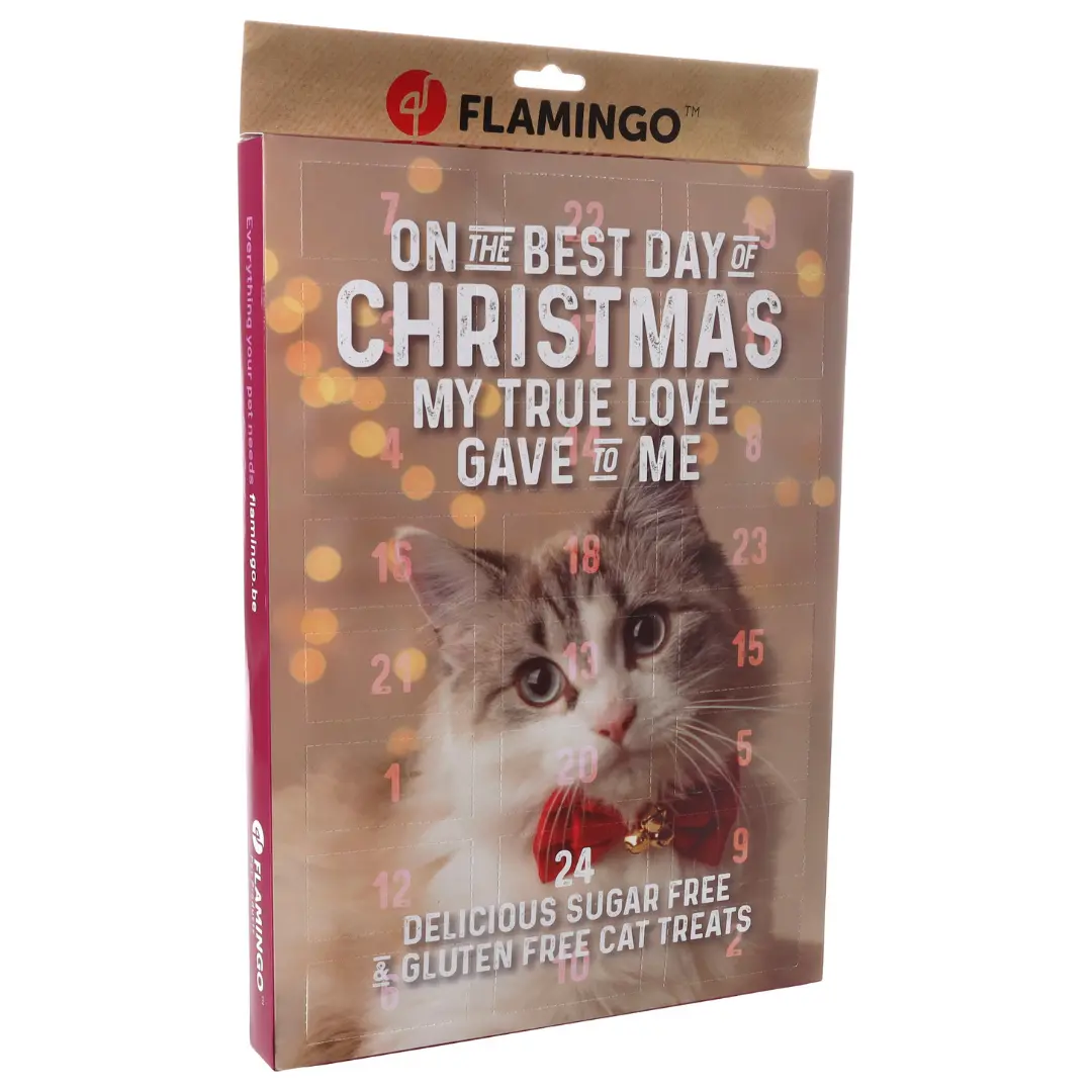 Adventskalender till Katt