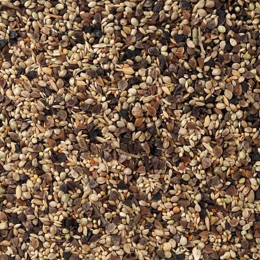 71 - Agapornisblandning