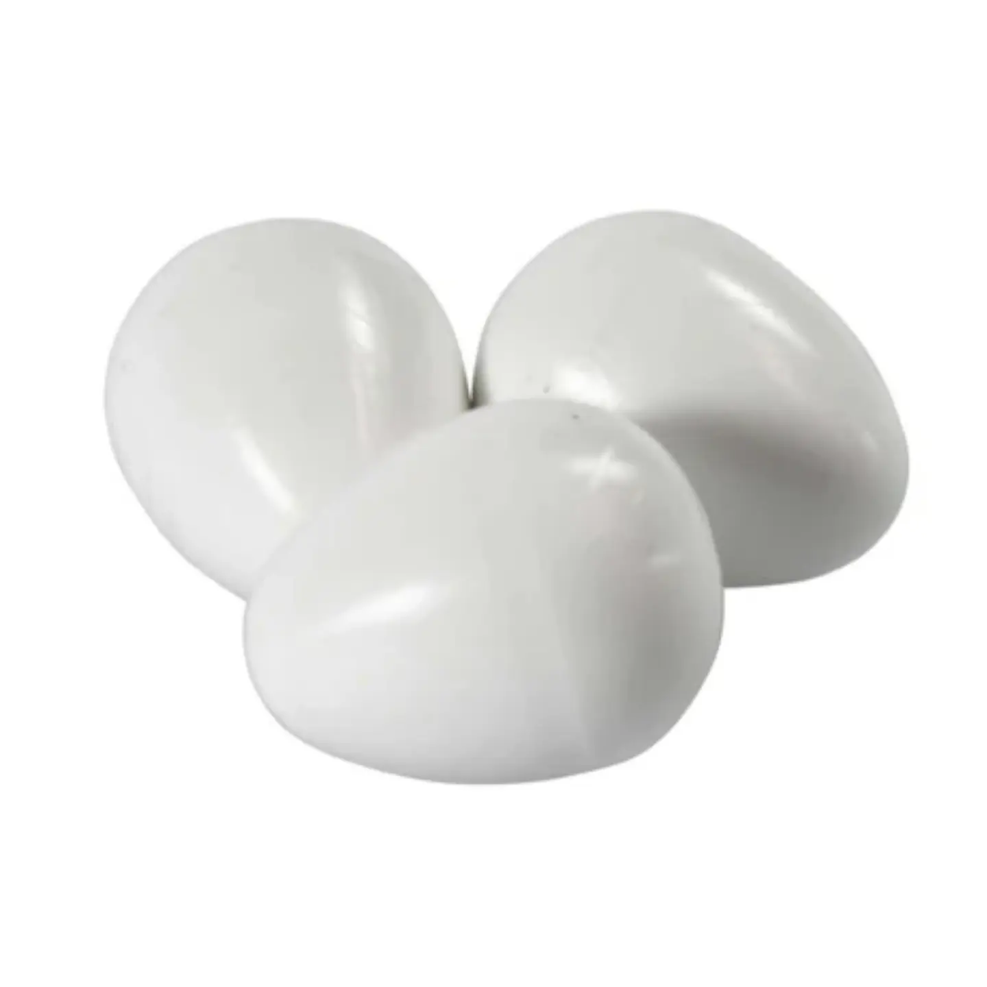 Plastägg till Parakiter