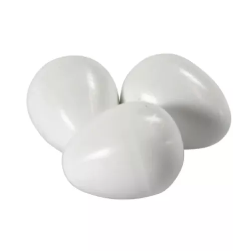 Plastägg till Parakiter