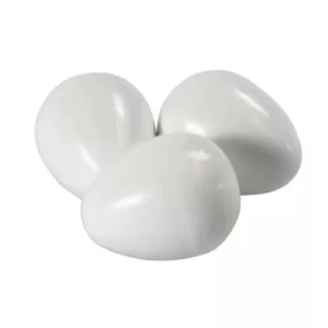 Plastägg till Parakiter