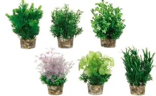 Akvarievaxter plast