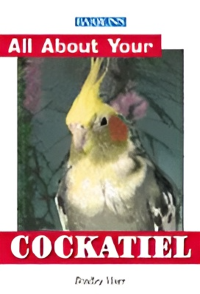 All about your cockatiel - Barrons