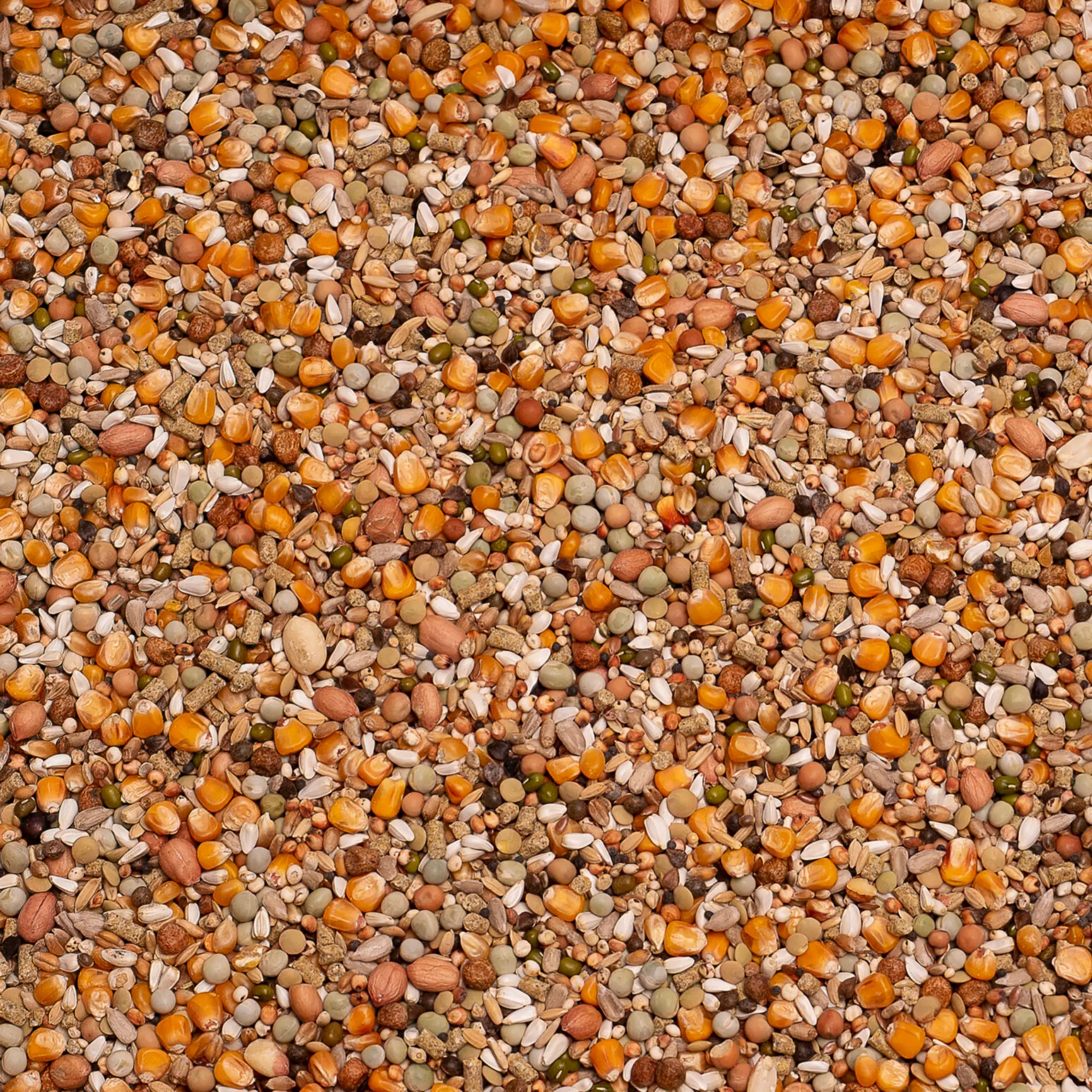 Premium Koopman All-In-One 20 kg