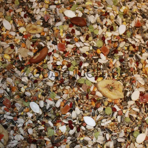 Papegojblandning med frö till amazon papegojor