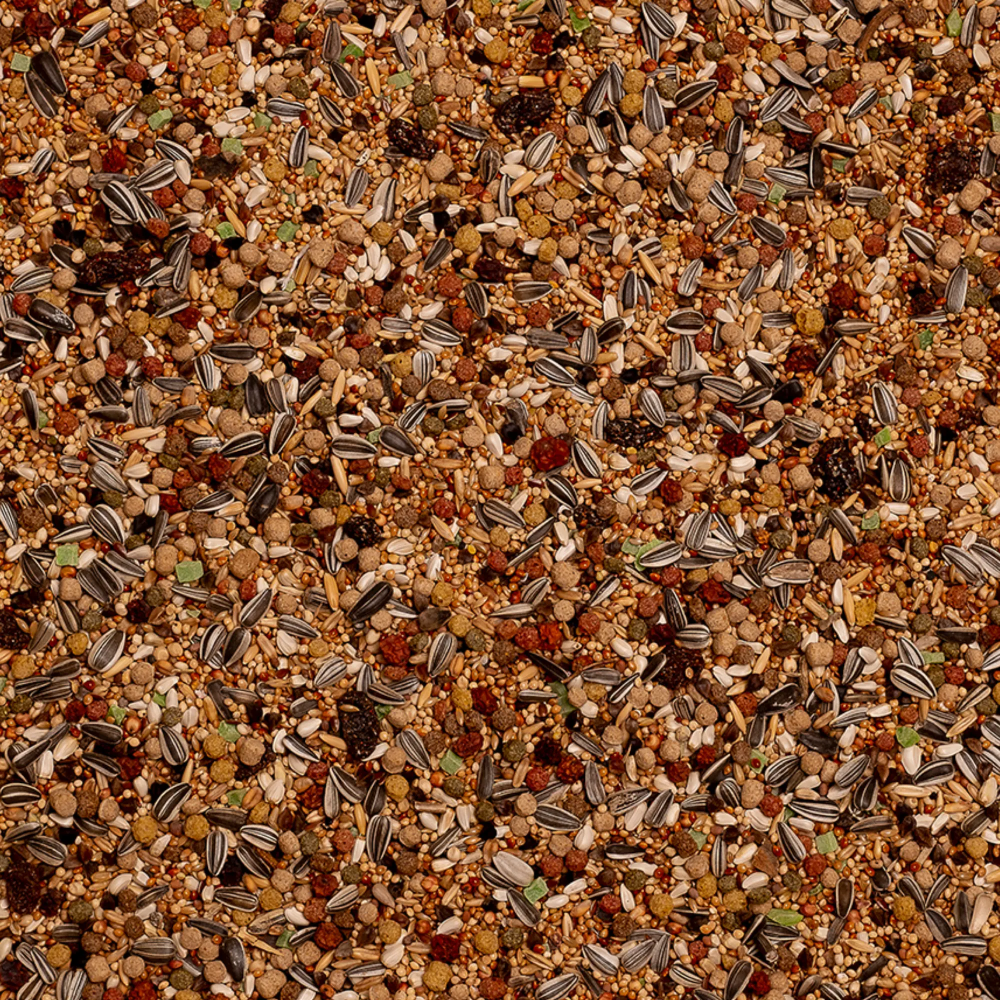 Birdelicious Amazonia Parakit