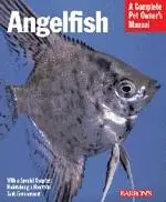 Angelfish