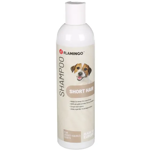 Hundschampo med avokadoolja för korthåriga hundar 300 ml