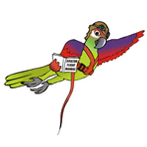 "Flyglina ""extra tillbehör"" aviator"