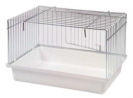 Badbur till de flesta fåglar