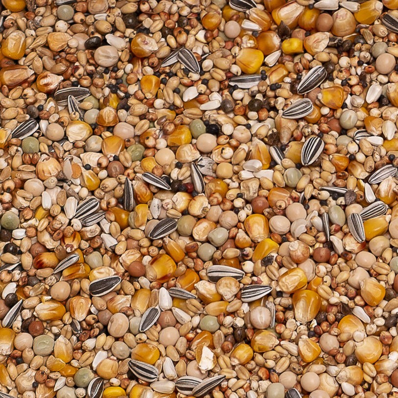 Beyers Basic Breeding & Racing 25kg