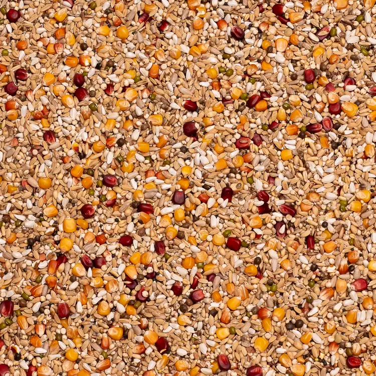 Galaxy Sport Light 20kg