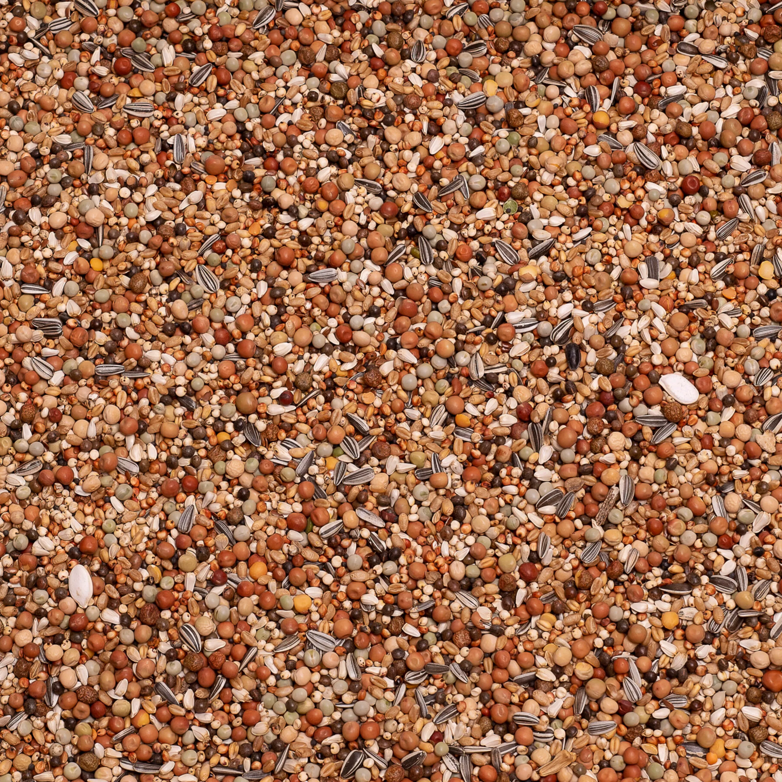 Olympia 48 avel och ungdjursfoder (Utan majs) 25kg