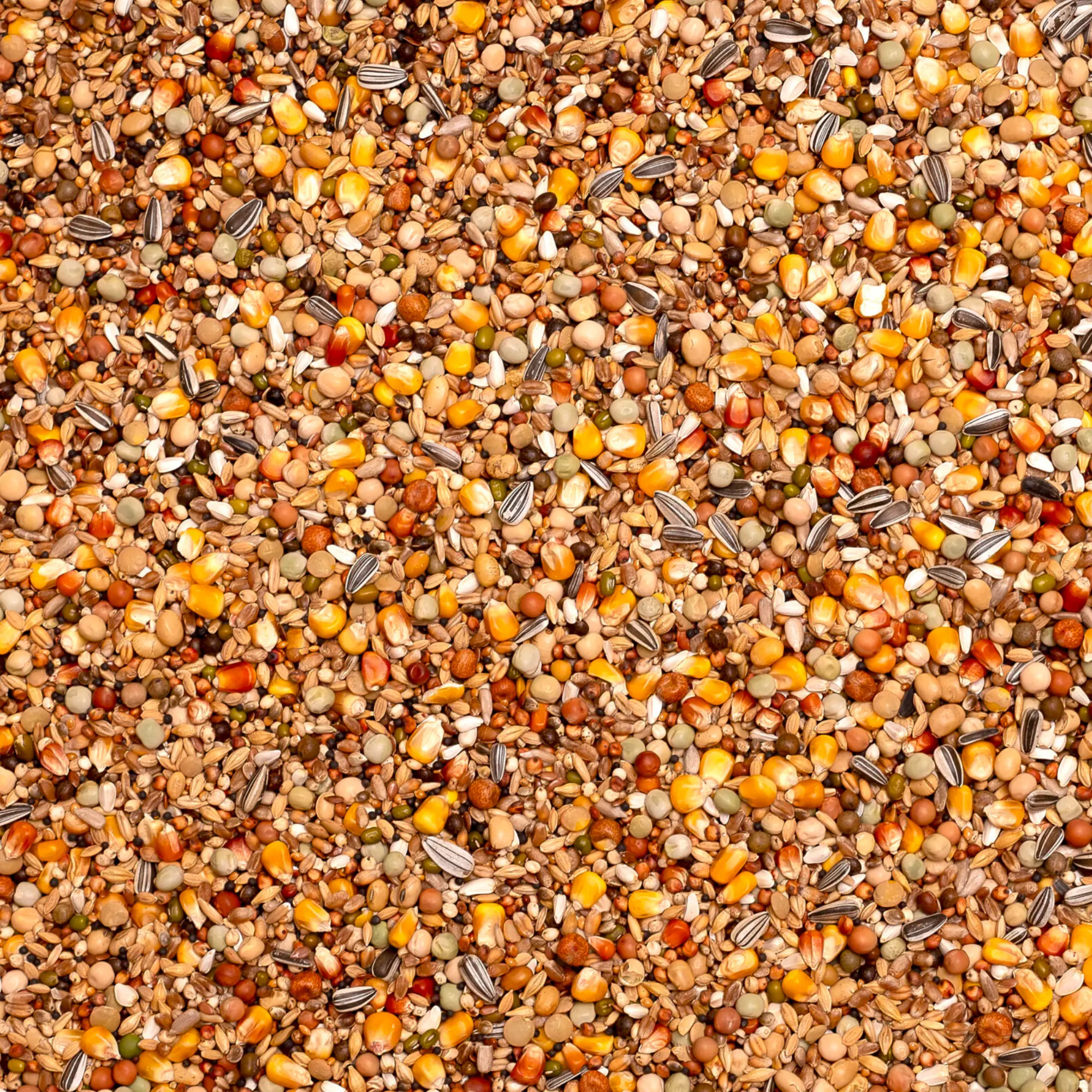 Olympia 53 Moulting & Breeding 20 kg + 2 kg